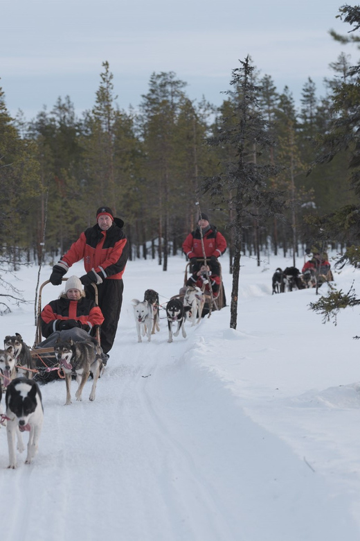 Levi Polar Lights Tours: Path of the Gnome Husky Safari 15km - Key points before you book