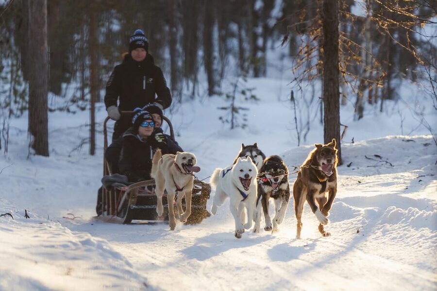 Levi Polar Lights Tours: Path of the Gnome Husky Safari 15km - Starting at Hissitie 11 in Levi
