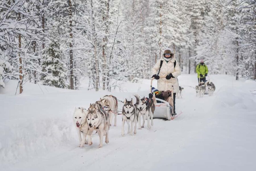 Levi Polar Lights Tours: Path of the Gnome Husky Safari 15km - The 15 to 18 km run through Lapland