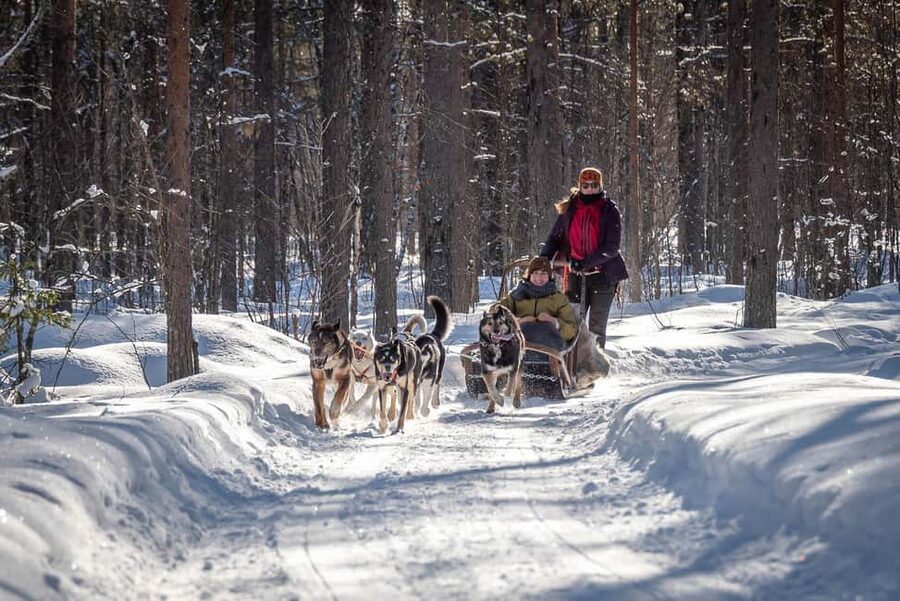 Levi Polar Lights Tours: Reindeer and Husky Taster - Safety briefing before the animals take over