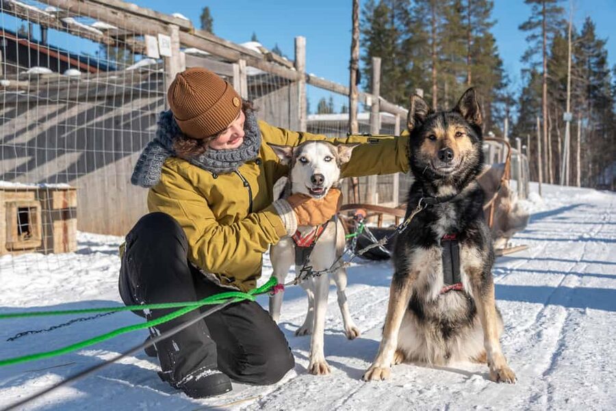 Levi Polar Lights Tours: Reindeer and Husky Taster - The husky ride gives you a real burst of speed