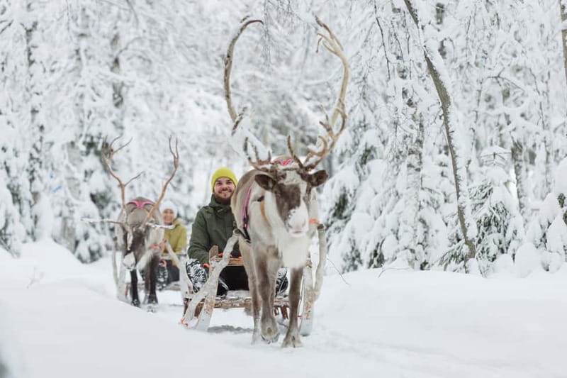 Levi: Reindeer Experience with Sled Ride - The short sleigh ride through the snow