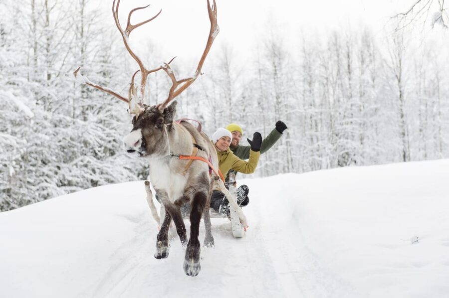 Levi: Reindeer Experience with Sled Ride - Who will enjoy this reindeer experience?