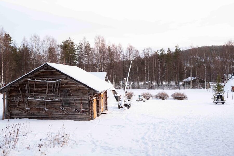 Levi: Reindeer Farm E-Fatbike Safari - Meeting reindeer at the farm