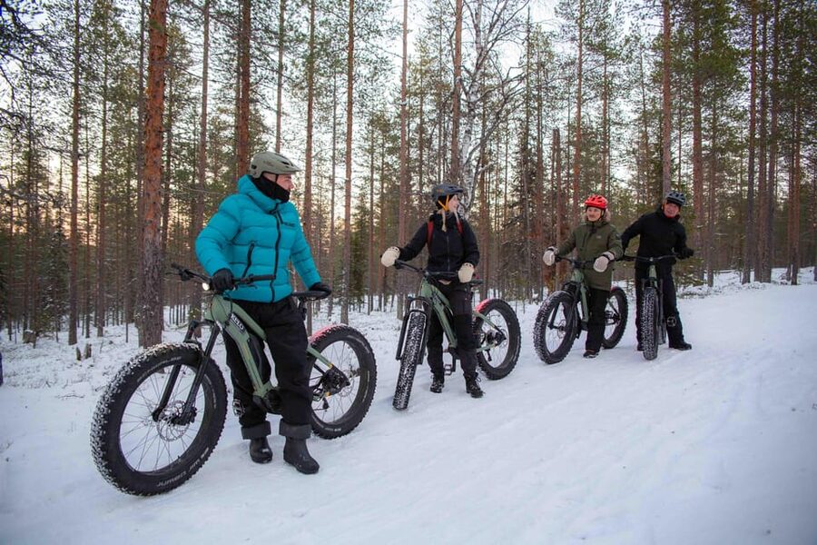 Levi: Reindeer Farm E-Fatbike Safari - Winter scenery without a rushed schedule