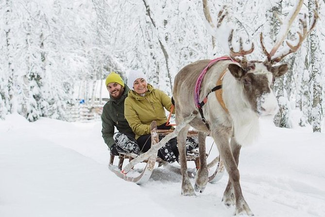 Levi Reindeer Safari - Long or Quick - with Sledge Ride - Is $114.15 a fair price?