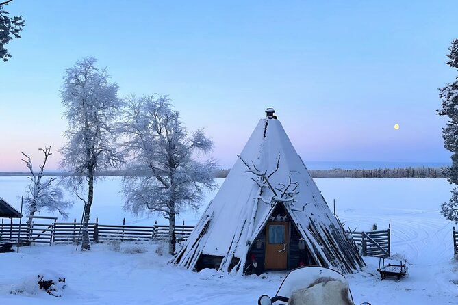 Levi Reindeer Safari - Long or Quick - with Sledge Ride - Hotel pickup makes the winter logistics easy