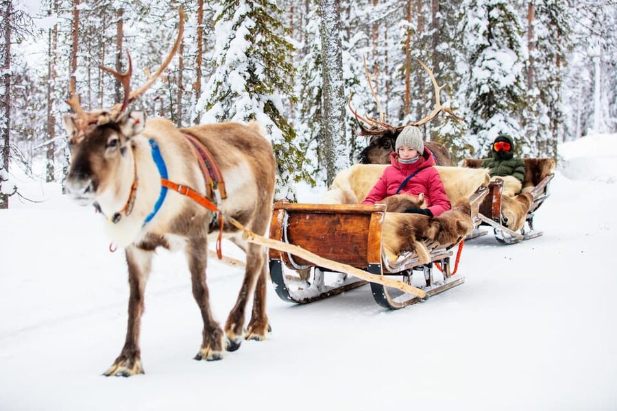 Levi: Reindeer Sleigh Ride Tour in Snowy Forest - A campfire, berry juice, and local snack