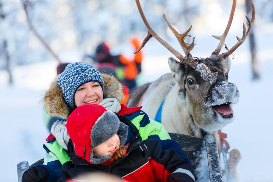 Levi: Reindeer Sleigh Ride Tour in Snowy Forest - What $103 per person really buys you