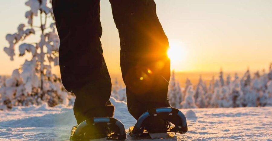 Levi: Scenic Levi Snowshoe Trip - Starting at the Safartica office in Levi