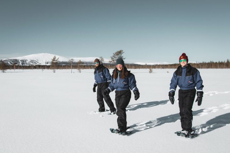 Levi: Scenic Levi Snowshoe Trip - How strenuous is the snowshoeing?