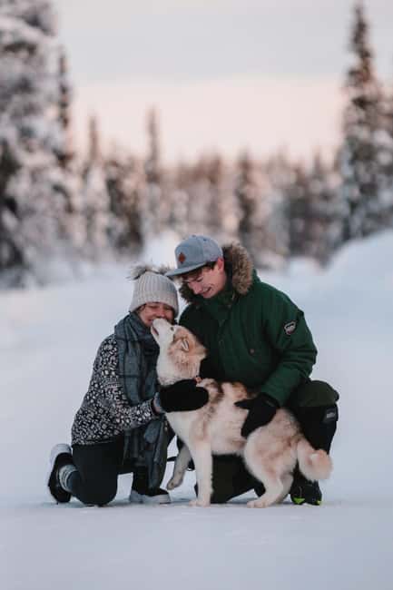 Levi: Self-Drive 2 KM Husky Sledding Experience - Key points to know before booking