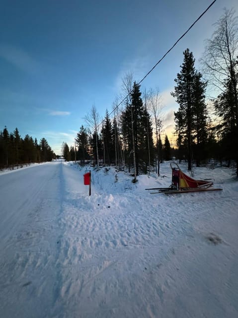 Levi: Self-Drive 2 KM Husky Sledding Experience - Warming up in the laavu