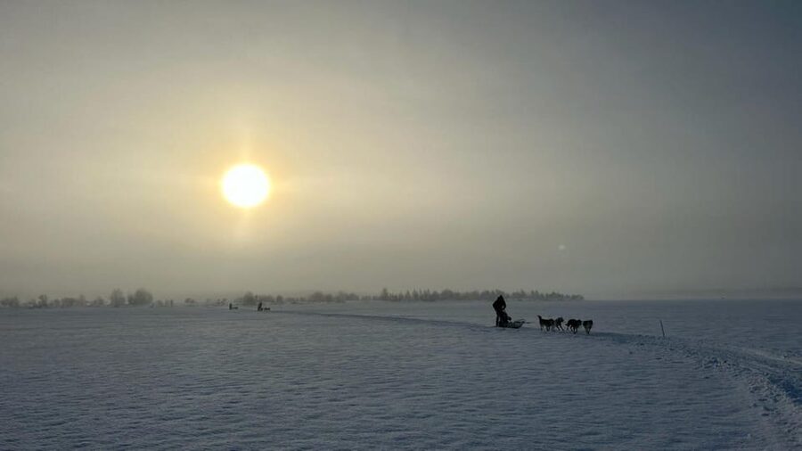 Levi: Self-Drive 5 KM Husky Sledding Experience - Taking the Runners on a 5 KM Husky Route