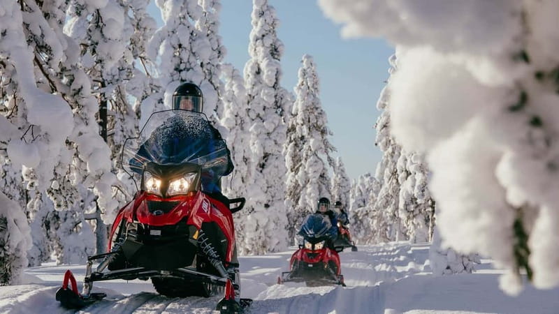 Levi: Snowmobile Safari to the Levi Nature - Key points to know before booking