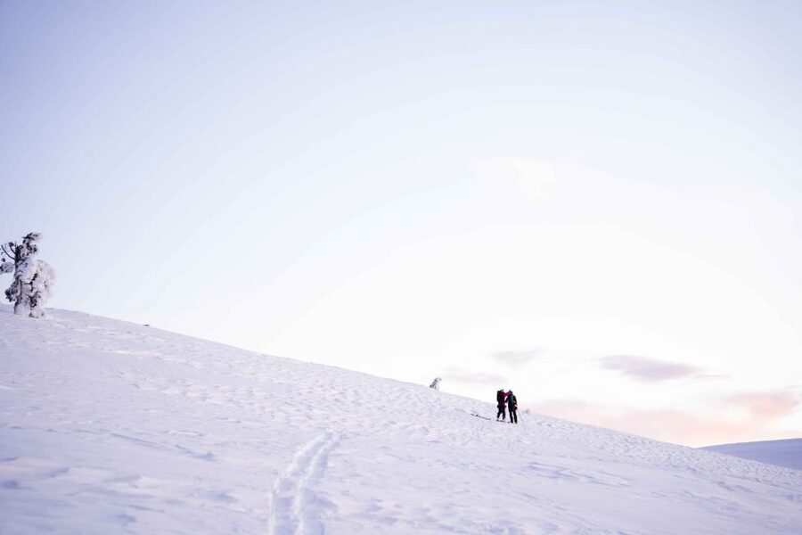 Levi: Snowshoe Adventure in the Wilderness - Should you book the Levi snowshoe adventure?