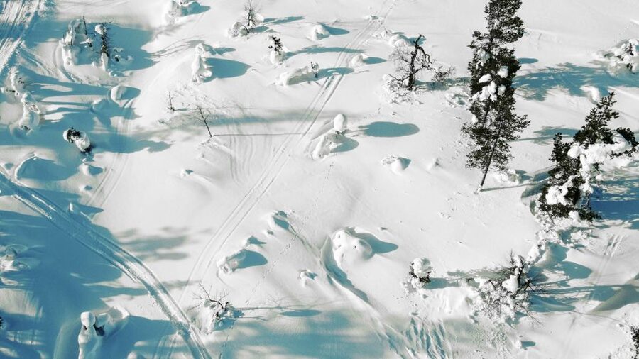Levi: Snowshoe Adventure in the Wilderness - Leaving Levi for the Arctic forest