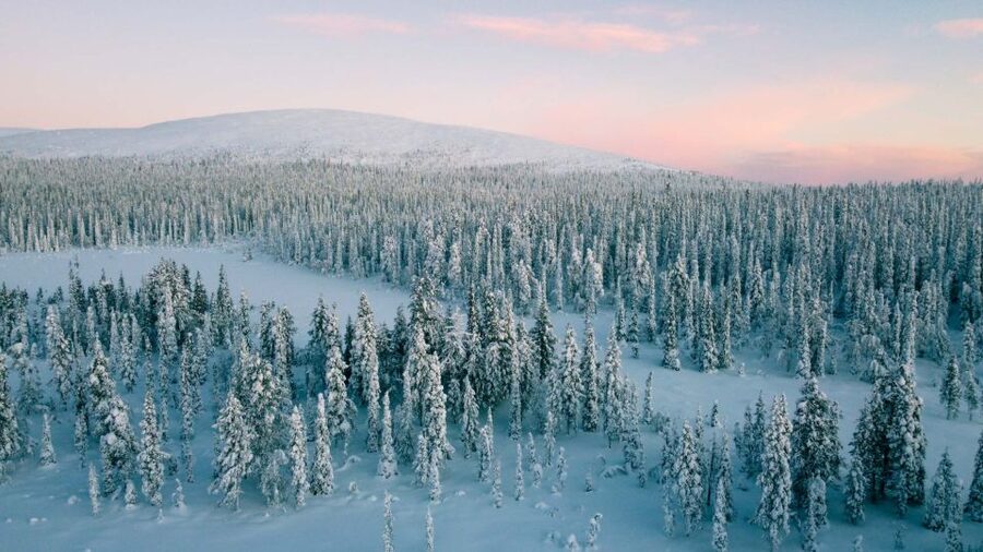 Levi: Snowshoe Adventure in the Wilderness - Learning photography without needing a private lesson