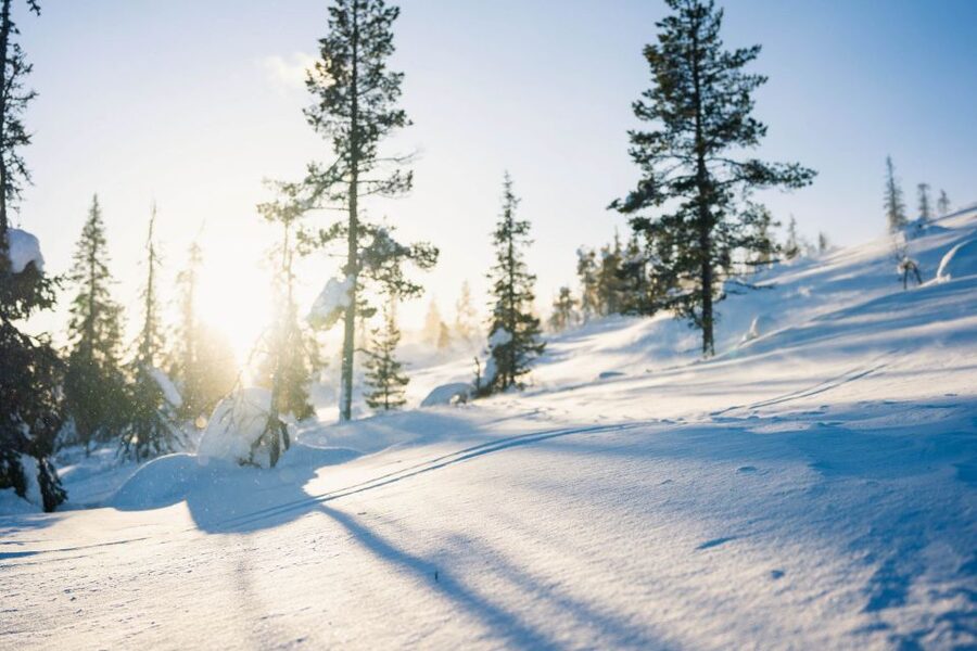 Levi: Snowshoe Adventure in the Wilderness - Practical preparation for a comfortable walk