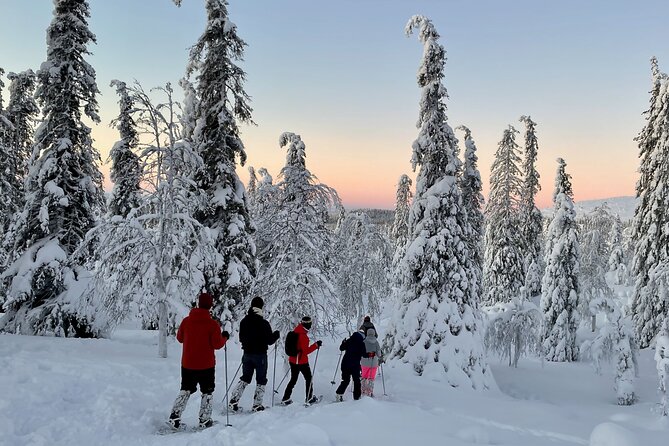 Levi: Snowshoeing adventure in the National Park - Key points at a glance