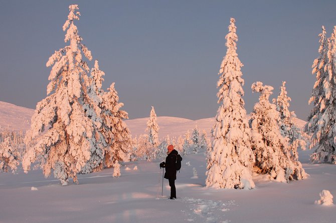 Levi: Snowshoeing adventure in the National Park - Leaving Levi for Pallas-Yllästunturi National Park