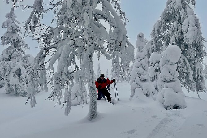 Levi: Snowshoeing adventure in the National Park - A one-hour campfire lunch in a cozy hut