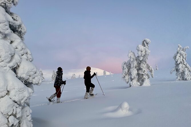 Levi: Snowshoeing adventure in the National Park - What the $191.56 price covers