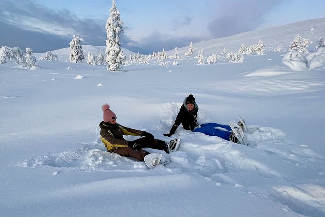 Levi: Snowshoeing adventure in the National Park - Fells, snow, and clean winter air