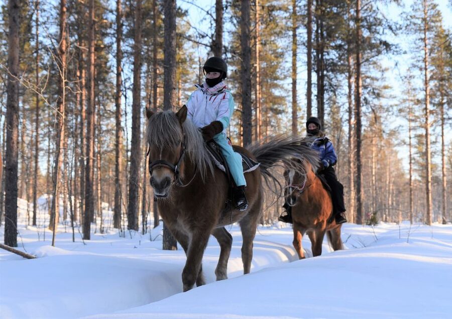 Levi: Snowy Forest Ride and Polar Lights Tours - A short briefing before you meet the forest