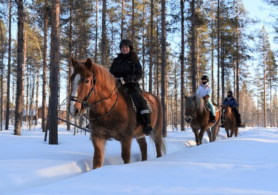 Levi: Snowy Forest Ride and Polar Lights Tours - Meeting the Polar Lights Tours minibus in central Levi