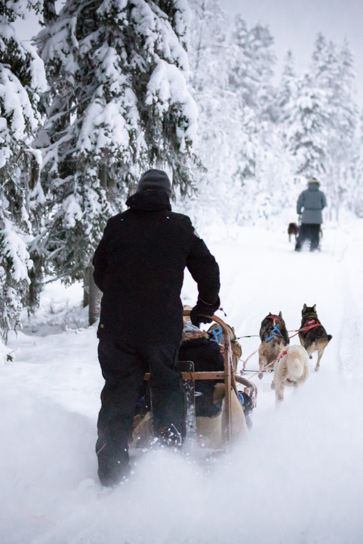 Levi: Winter Highlights Family Day - Salmon soup makes the cold easier