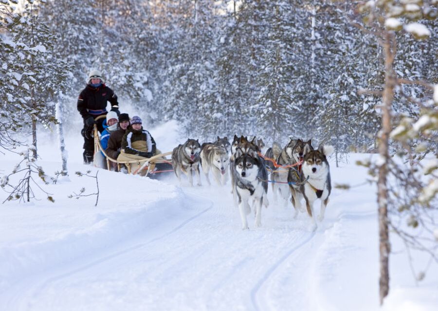 Levi: Winter Highlights Tour with Snowmobiling - Snowmobile rules, gear, and the first burst of speed