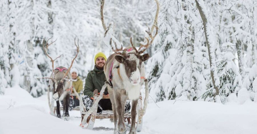 Levi: Winter Highlights Tour with Snowmobiling - Reindeer farm and a quiet sleigh ride