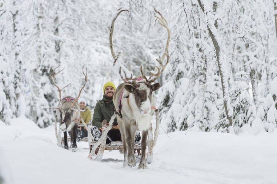 Levi: Winter Highlights Tour with Snowmobiling - Getting to the Arctic Circle Snowmobile Park