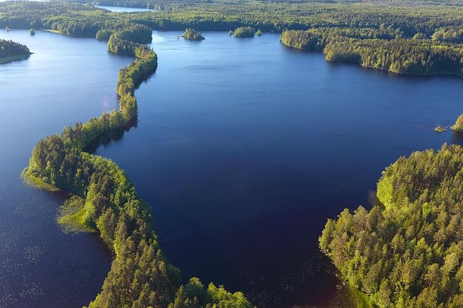 Magical Taiga Forest Hike with Lunch and Transportation - Weather, comfort, and practical limits