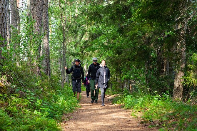 Magical Taiga Forest Hike with Lunch and Transportation - Who will enjoy this Taiga forest day