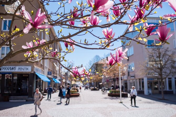 Mariehamn Private Guided Walking Tour - Why Mariehamn is best understood on foot