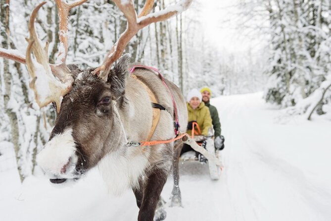 Meet Santa Claus & Santa's Reindeer Ride & Greet Huskies - Who will enjoy this five-hour visit
