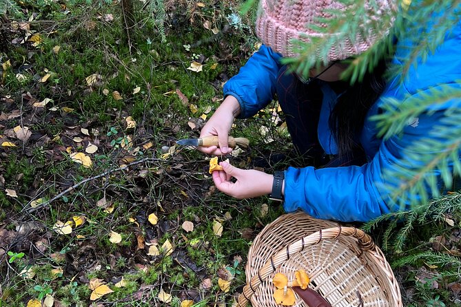 Mushroom Hunting in a National Park - How much value do you get for $186.22?