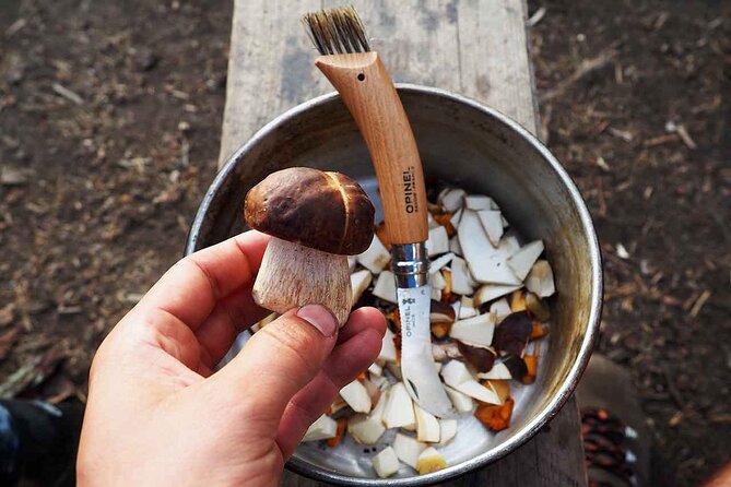 Mushroom Hunting in a National Park - Sustainability with practical meaning
