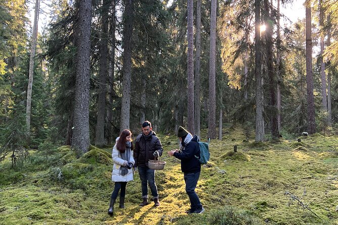 Mushroom Hunting in a National Park - Returning to Helsinki