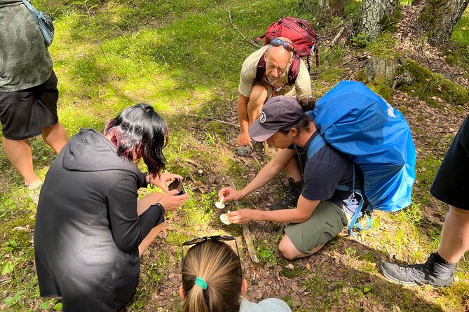 National Park Hike & Finnish Smoke Sauna Experience with Campfire Lunch - Why the small group improves the day
