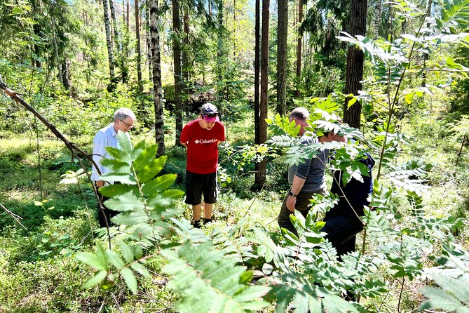 National Park Hike & Finnish Smoke Sauna Experience with Campfire Lunch - What the $199.62 price includes