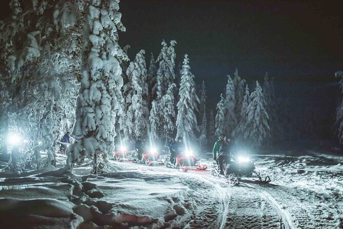 Night Snowmobile Safari, Rovaniemi - Who will enjoy this night safari most