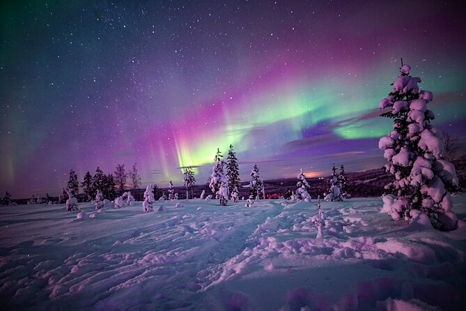 Night Snowshoeing Adventure under the Northern Lights - Key points to know before you book