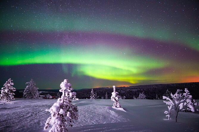 Night Snowshoeing Adventure under the Northern Lights - A small group makes the night more personal