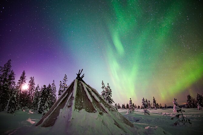 Night Snowshoeing Adventure under the Northern Lights - How much value do you get for $123?