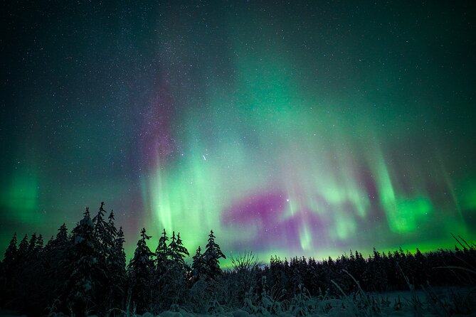Night Snowshoeing Adventure under the Northern Lights - Practical ways to enjoy the night