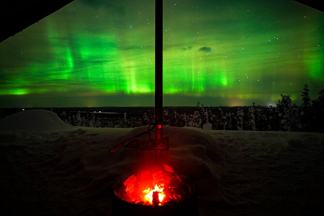 Night Snowshoeing Adventure under the Northern Lights - Choosing between forest, frozen water, and a hilltop