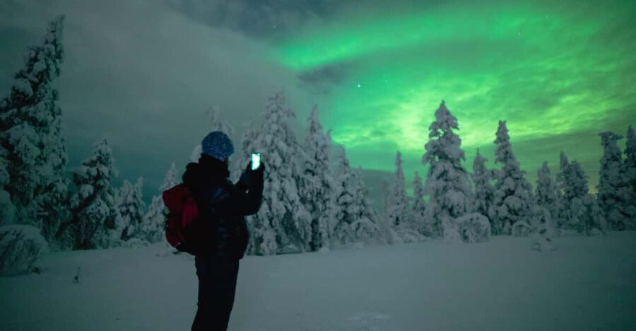 Night Snowshoeing Lapland Experience - A quiet start to the night in Rovaniemi